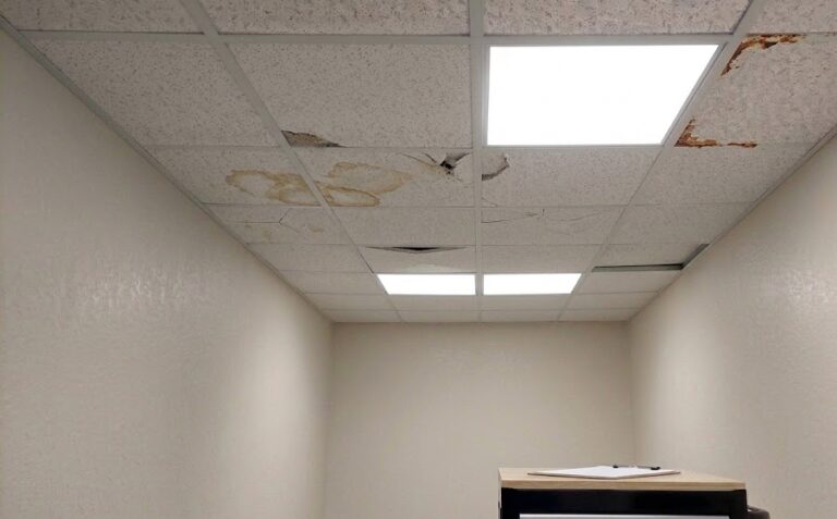 dropped ceiling example