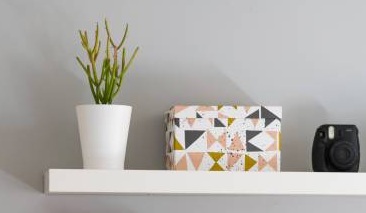 A section of two white painted modern bookshelves with books, a plant and a decorative storage box.